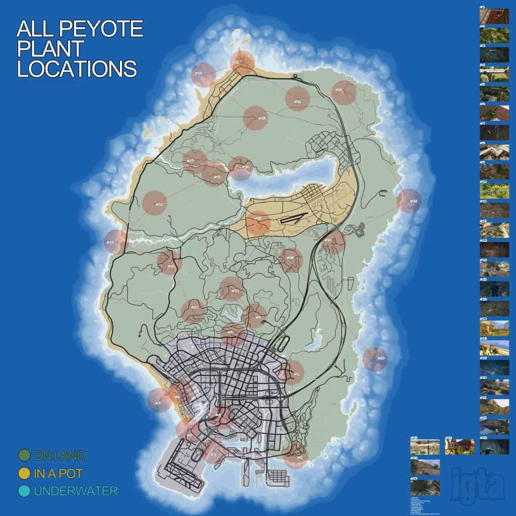 peyote