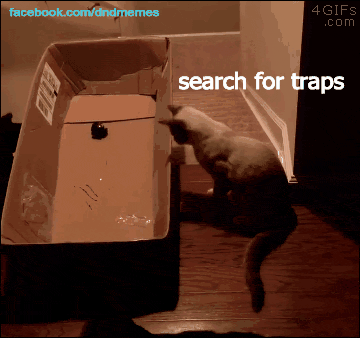 gif-dnd-traps-cats